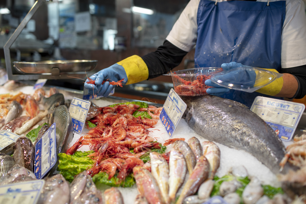 fresh fish displayed at a seafood market