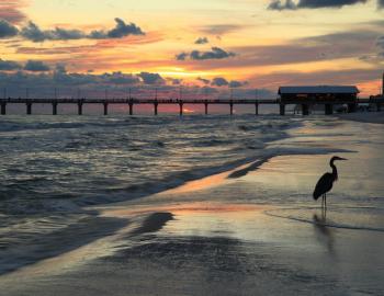 gulf state park, gulf shores pier, gulf shores beach