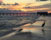 Gulf Shores Beach Day