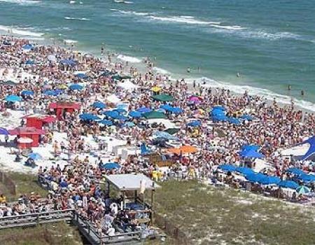 Mullet Toss Orange Beach