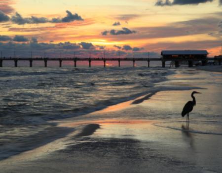 Gulf Shores Beach Day