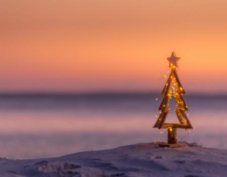 mini christmas tree in the sand on a beach