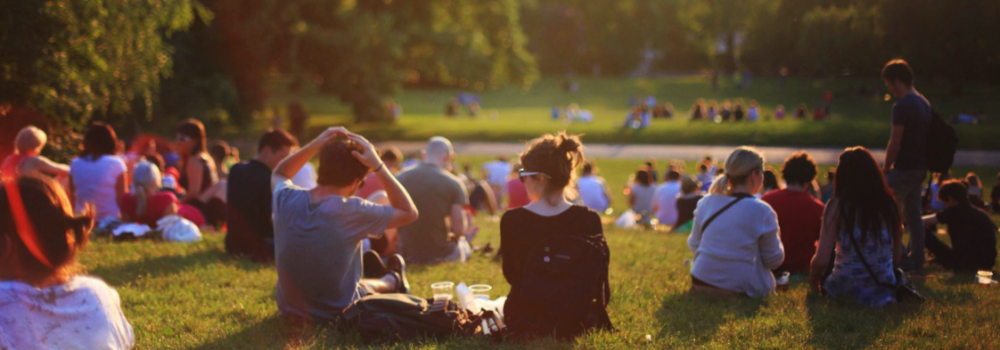 people sitting on grassy lawn
