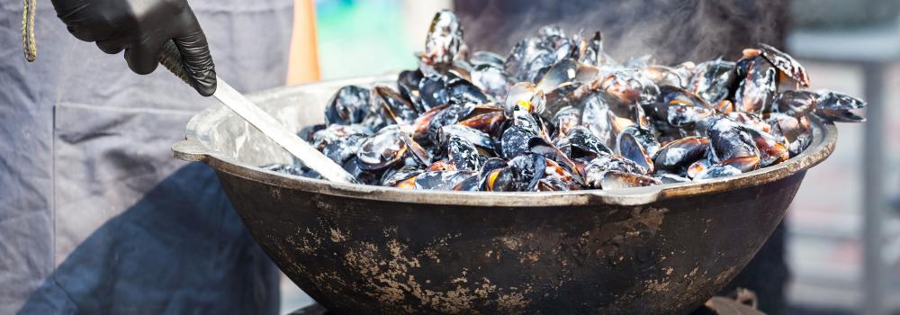 cooked oysters