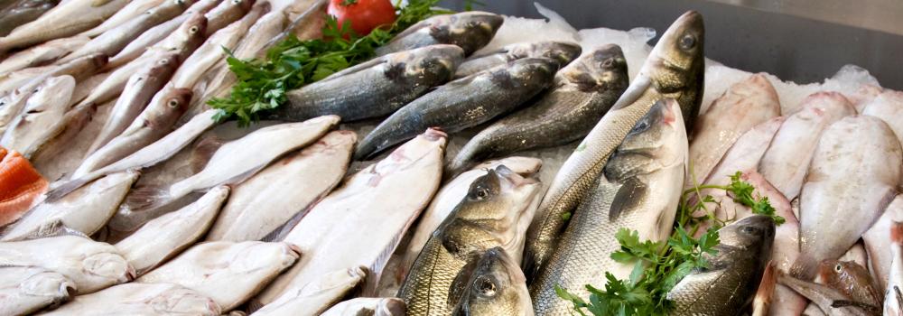 fish on ice at a seafood market