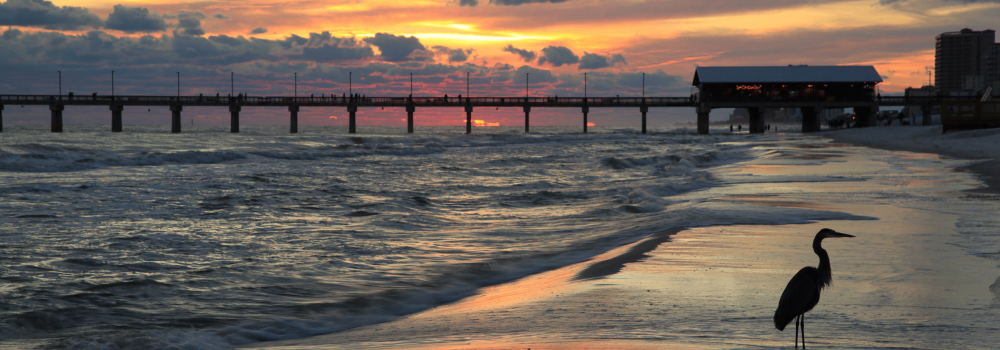 gulf shores beach, gulf state park